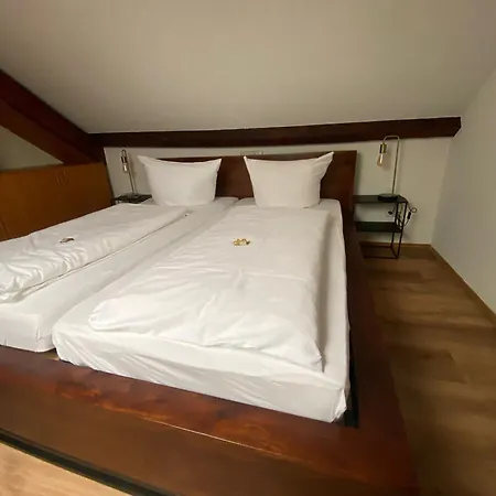 Boutique-garni Papillon Hotel